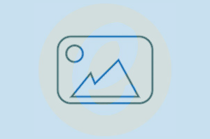 Your Logo
